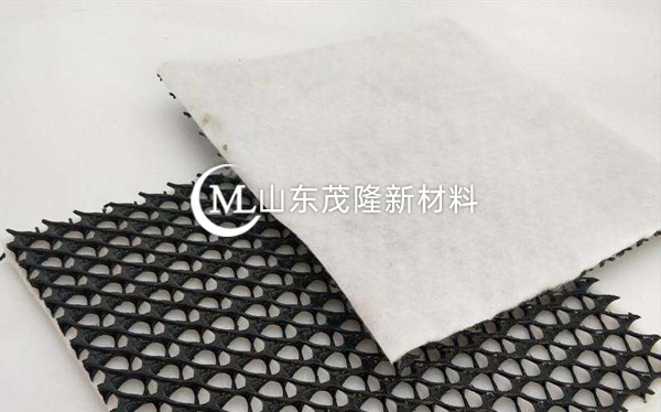 三維復合排水網(wǎng)產(chǎn)品演示圖2