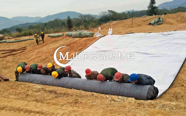 膨潤土防水毯產(chǎn)品演示圖2