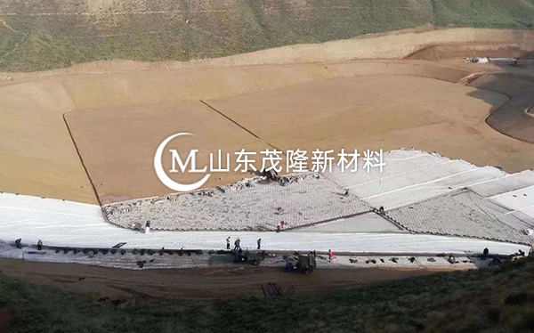《東平龍王溝》復合土工膜施工