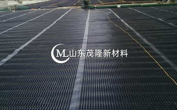 《梅州百匯嘉印項(xiàng)目》排水板施工