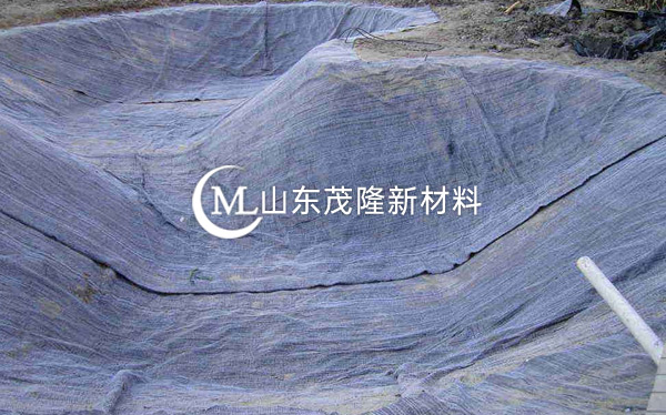 《河北邢臺(tái)沙河治理》防水毯施工