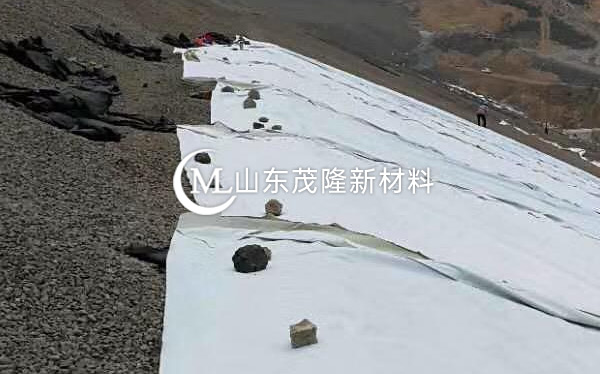 《銀西項(xiàng)目》排水板、復(fù)合土工膜施工