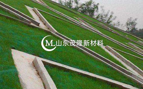 《都勻至安順公路項目》土工格柵、三維植被網(wǎng)施工