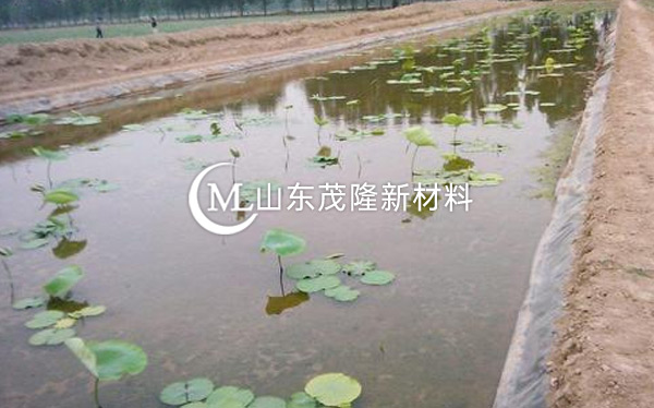 養(yǎng)殖用防滲膜 第2張