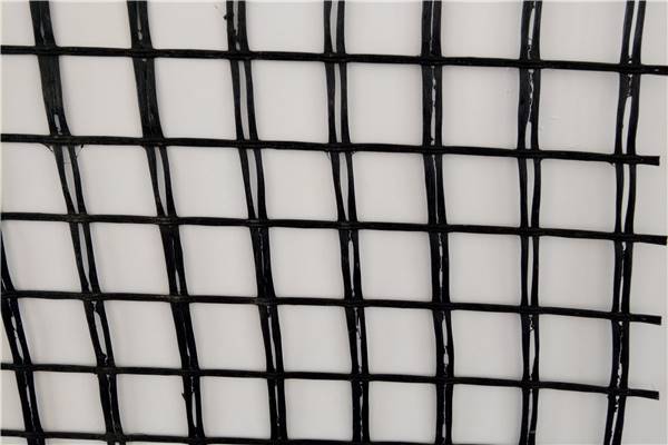 在防洪護堤中為什么使用土工格柵呢？  第3張
