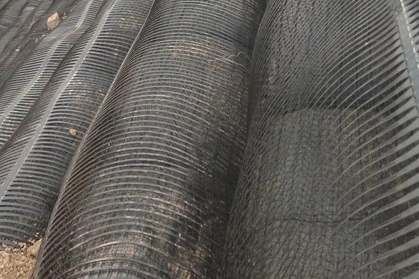 土工格柵在擋土墻中的優(yōu)勢(shì)詳解 第1張