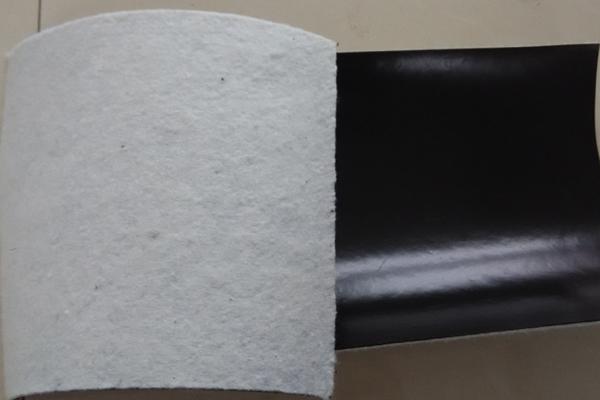 土工格柵與復(fù)合土工膜搭配使用的優(yōu)勢 第3張