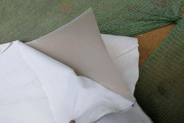 土工格柵與復(fù)合土工膜搭配使用的優(yōu)勢 第4張