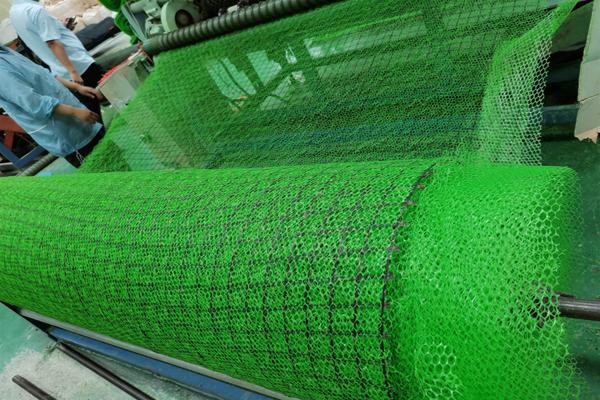 高韌性聚酯紗線集束土工格柵與三維土工網(wǎng)墊的區(qū)別有哪些 第2張